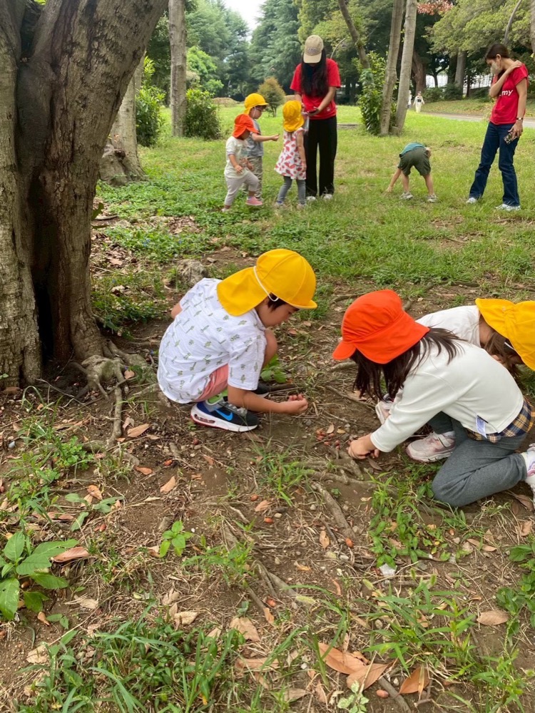 公園で自然探索をする国際色豊かな園児たち（バイリンガル保育園SVA）