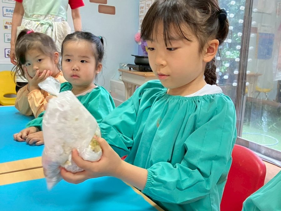 午後の探究プログラムの様子